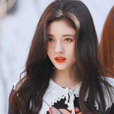 海豚伯尼2